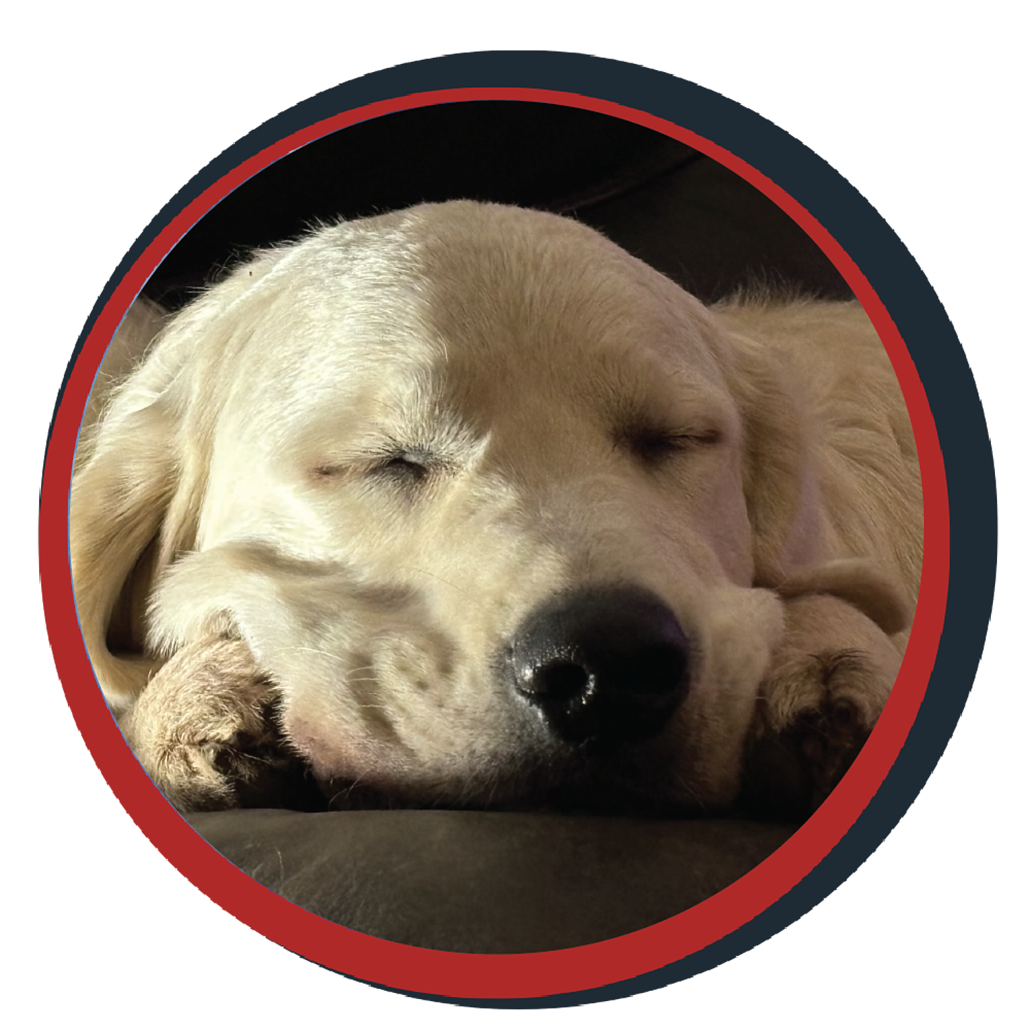 NWBB pledge a pup gallery graphics winston dec 15 24