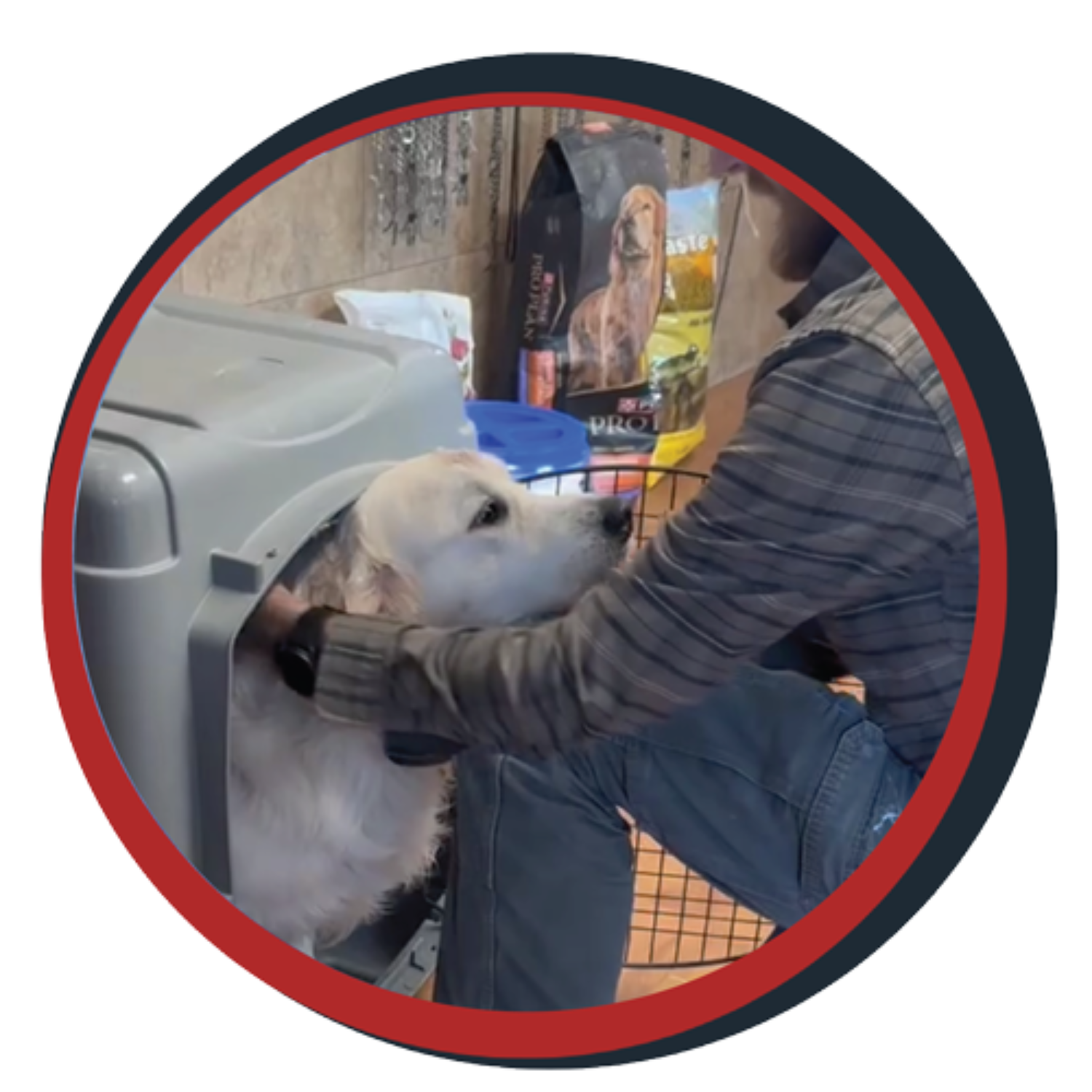 NWBB pledge a pup gallery graphics winston July 20 25
