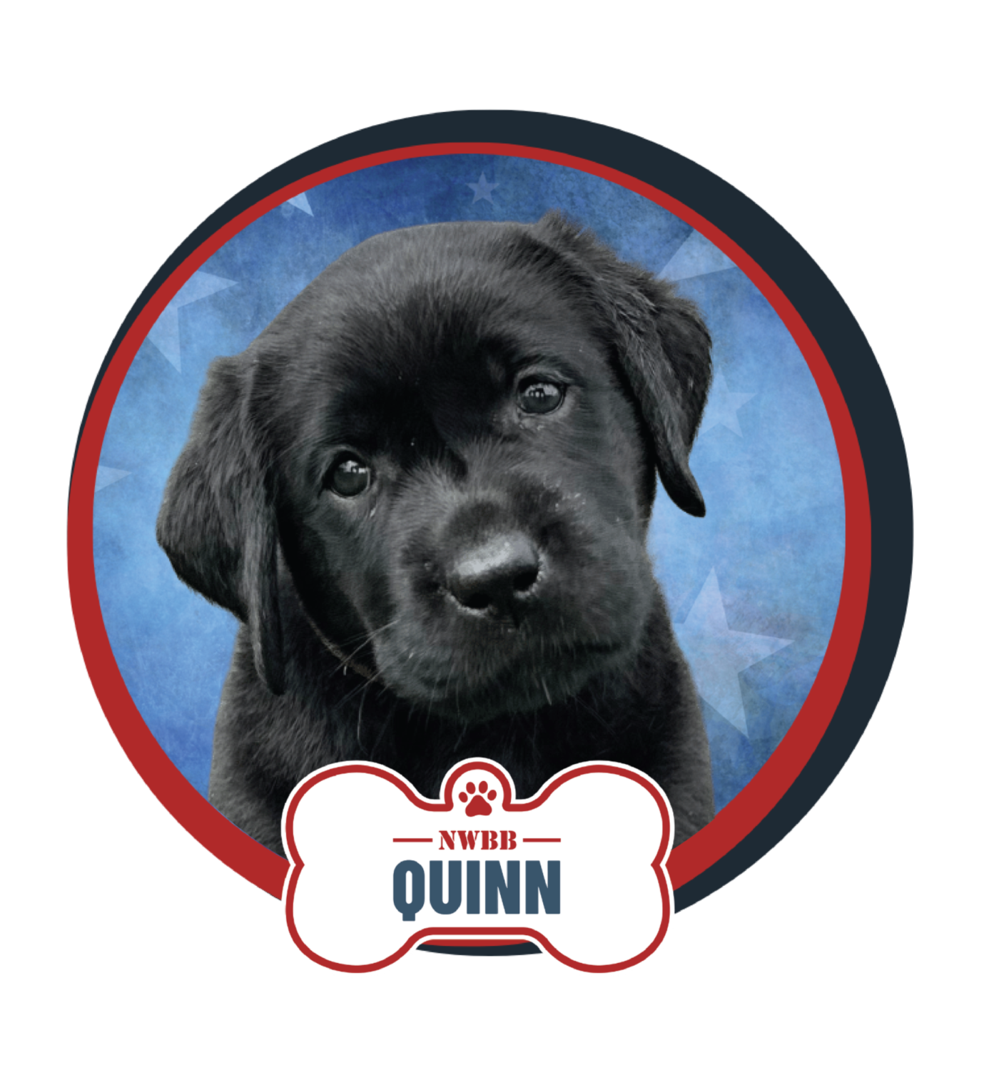 NWBB pledge a pup web graphics quinn