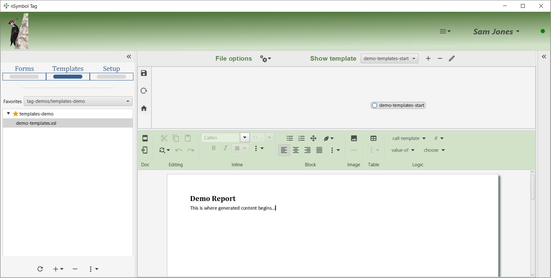 Main editing space where typing of content has started