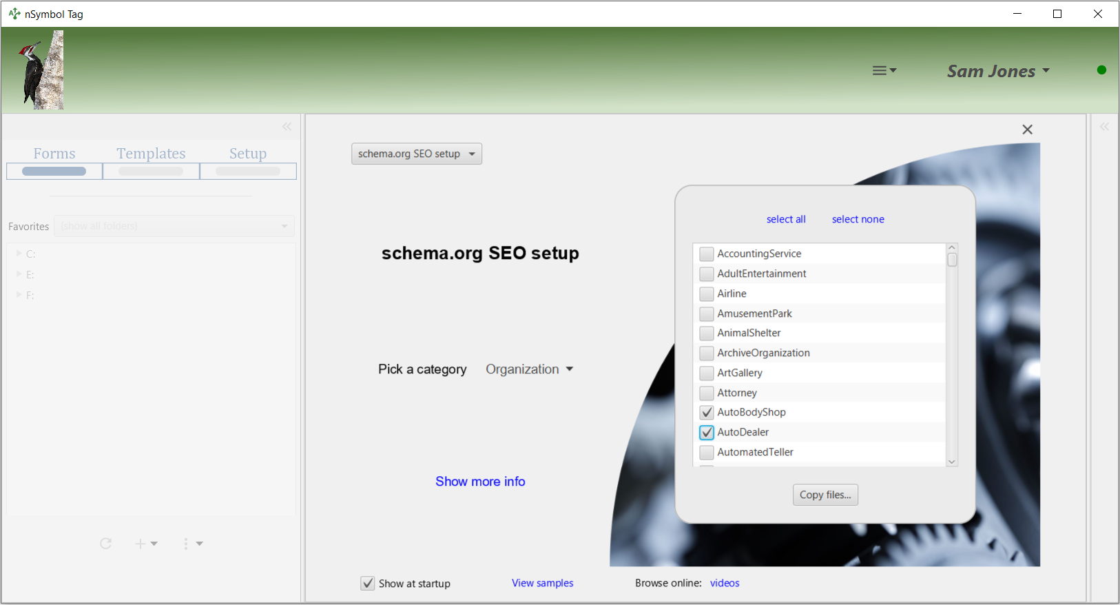 schema.org SEO setup - organization classes