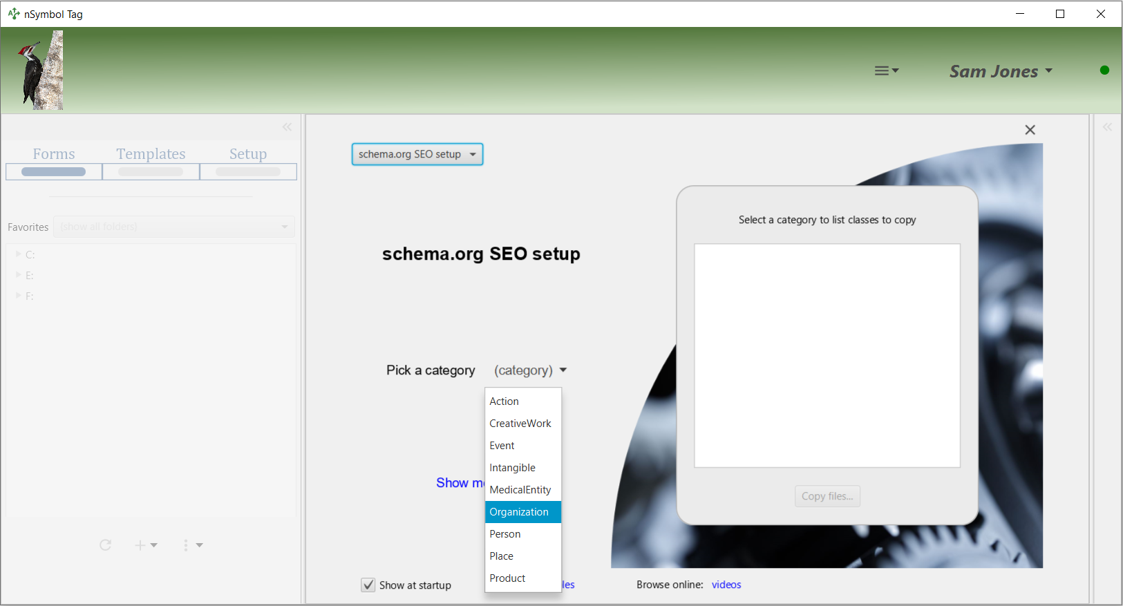 schema.org SEO setup panel