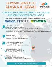 Domestic Service Flyer Image 11.19.25