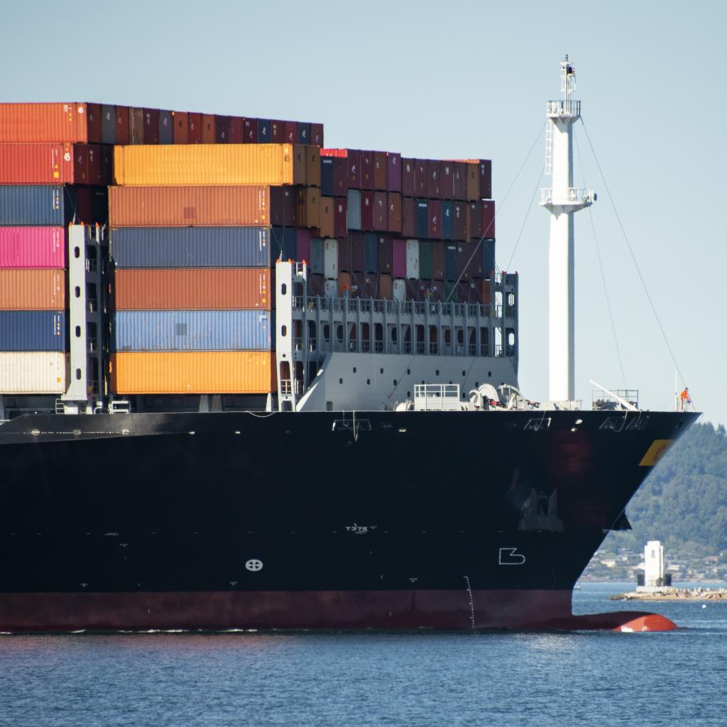 Ship carrying containers