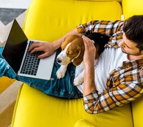 A digital marketer researching for guides to marketing