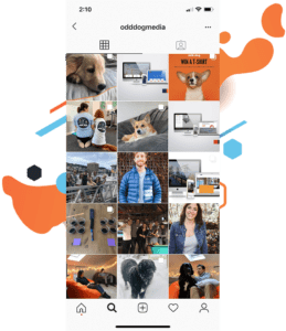 Odd Dog Media's Instagram, a Seattle Digital Marketing Agency