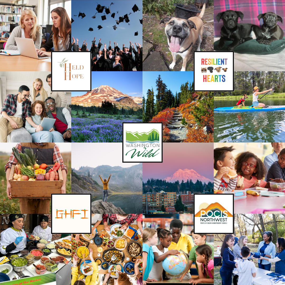 digital marketing for nonprofits