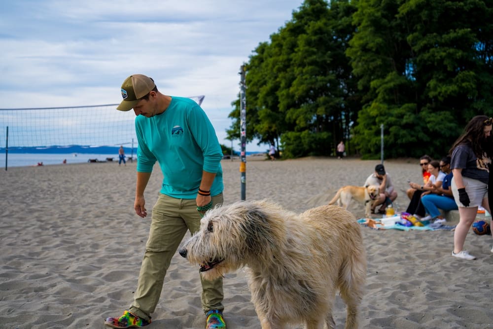 Man in aqua shirt and ball cap picks trash up on a beach with a giant dog (Irish Wolfhound)