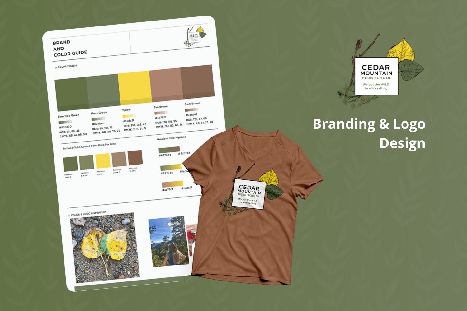 Cedar Mountain Herb School | Branding