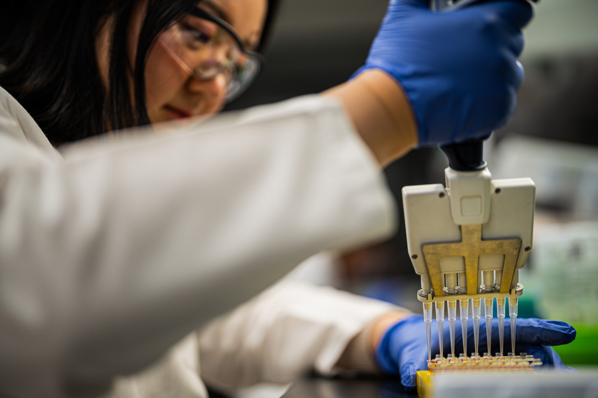 A scientist wearing gloves and safety glasses uses a multi-channel pipette to dispense liquid into wells of a lab tray at UWMDI, focusing on precise laboratory work.