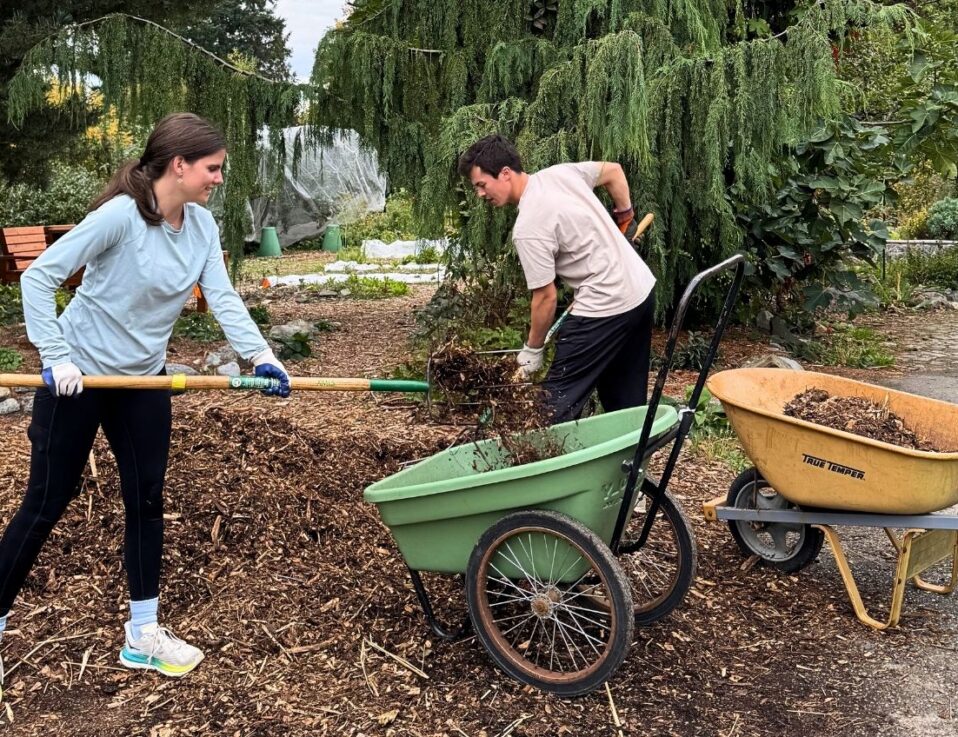 Two people shoveling wood chips while volunteering at a Seattle nonprofit for Earth Day 2026