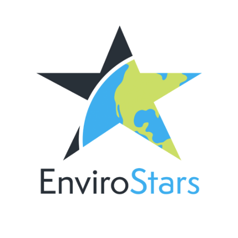 EnviroStars logo with globe in star shape