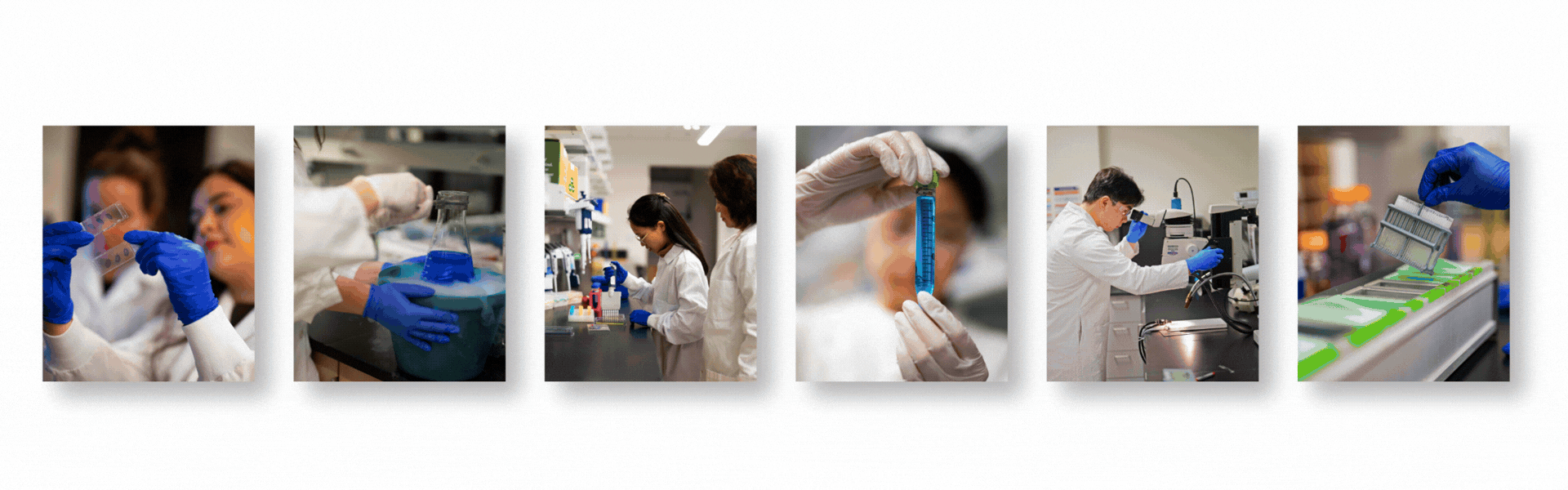 Six images in a row showcase scientists in lab coats and blue gloves working with lab equipment, capturing the precision and detail of seattle brand photography in a dynamic laboratory setting.
