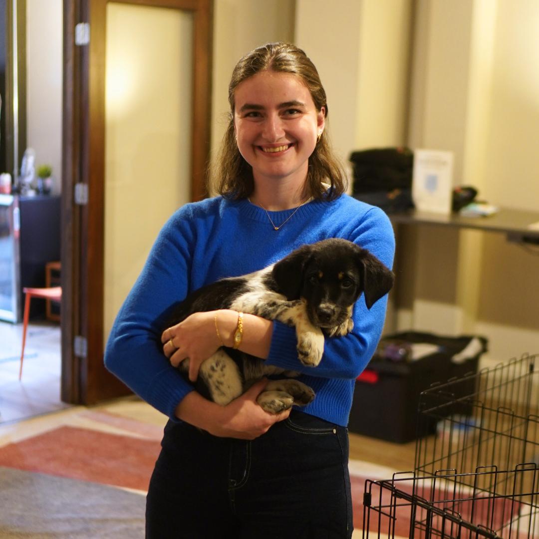 A smiling person wearing a blue sweater holds a black and white puppy in their arms indoors, standing next to a pet crate.