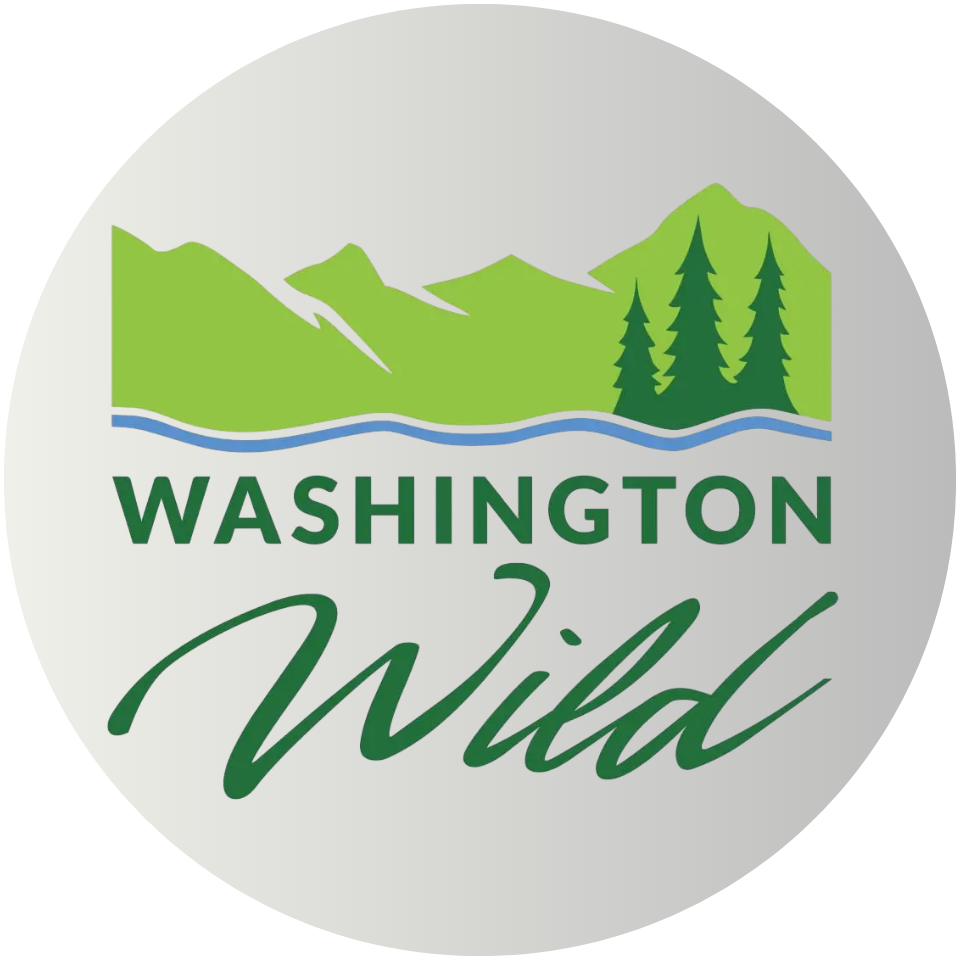 A circular logo about green mountains, pine trees, and a blue river above the text “WASHINGTON Wild” in green letters.