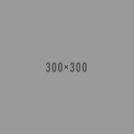 300by300