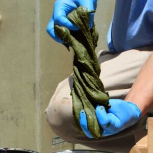 Denso SeaShield SplashZone UW Epoxy