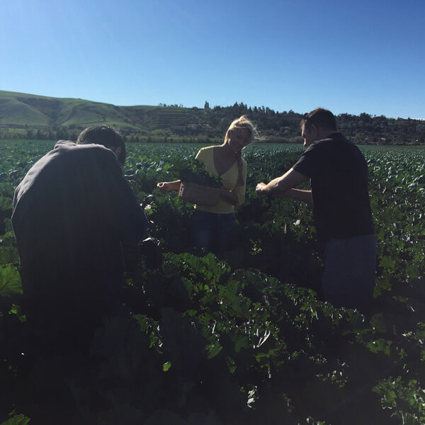 IMG_3543_1 IMG_3543_1