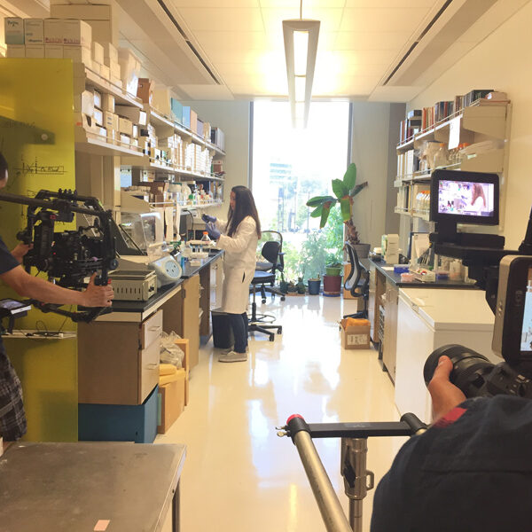 IMG_7372_1 IMG_7372_1