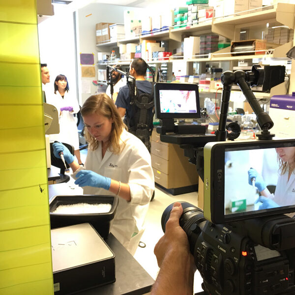 IMG_7396_1 IMG_7396_1