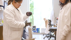 UW Medicine - Diabetes Institute “Brand Loop”