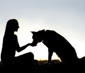 are-you-next seattle dog walker job