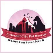 dog rescue seattle