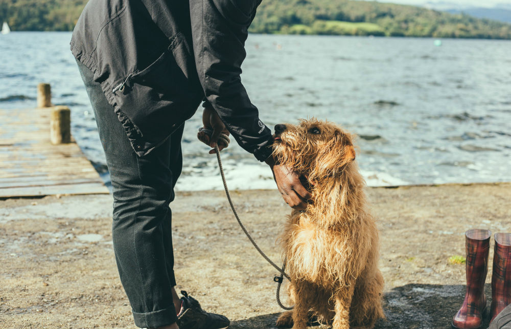 A dog owner pets his wiry dog on leash before he goes for a summer swim in the sea