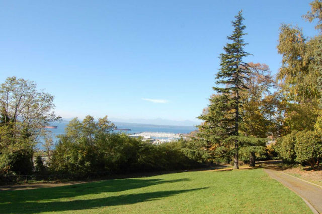 View from Lower Kinnear Park, with on-leash trail through wooded area