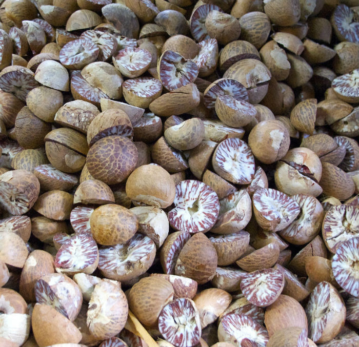 Pile of whole nutmegs, which are toxic to dogs