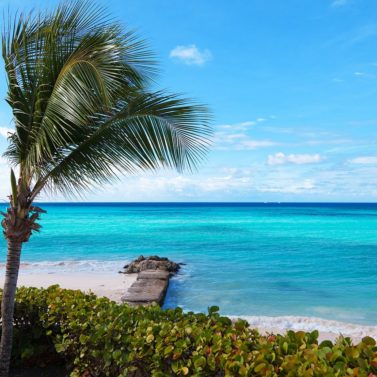 How to Spend Your Summer Vacation Wisely