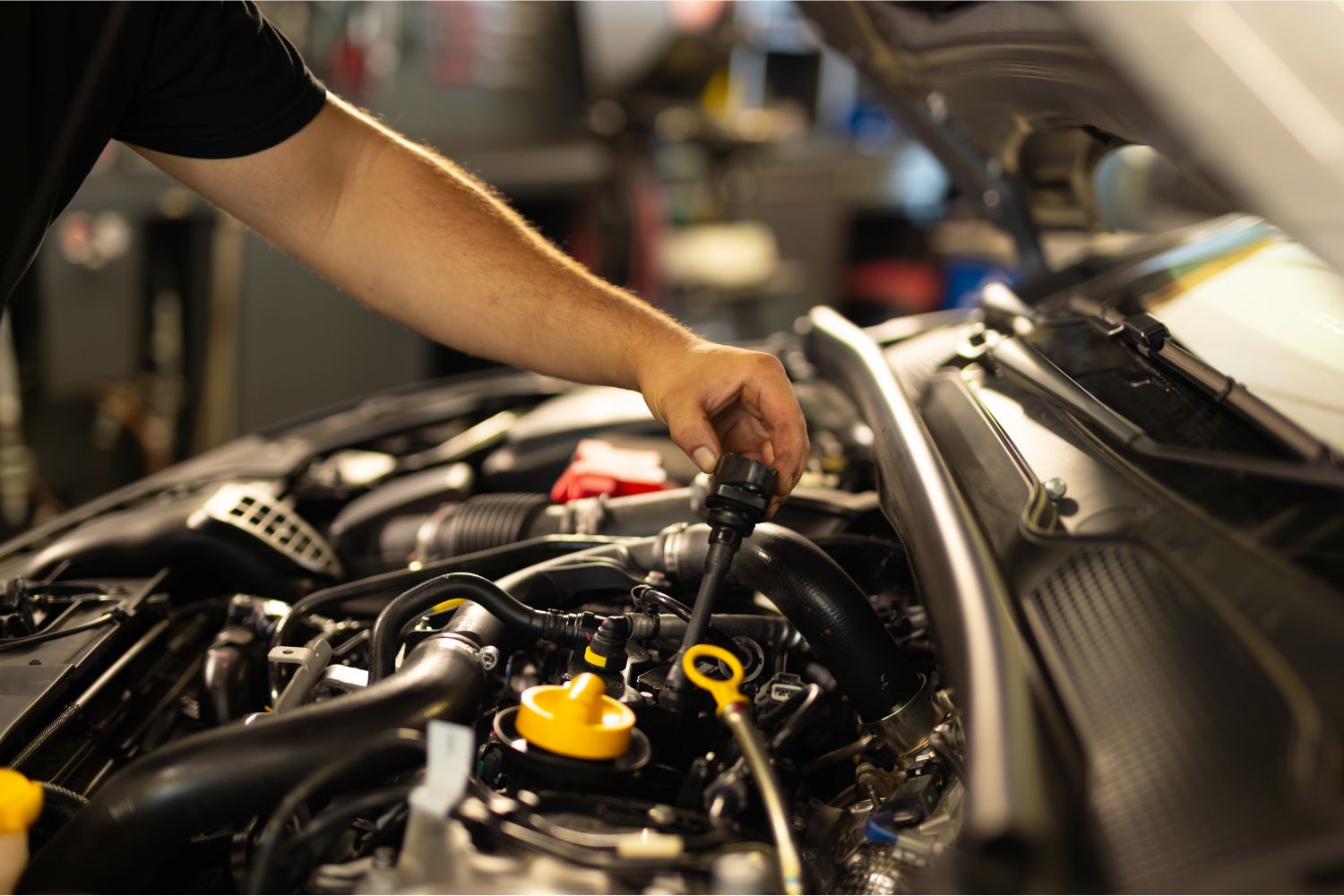 Bucky's Complete Auto Repair - Federal Way