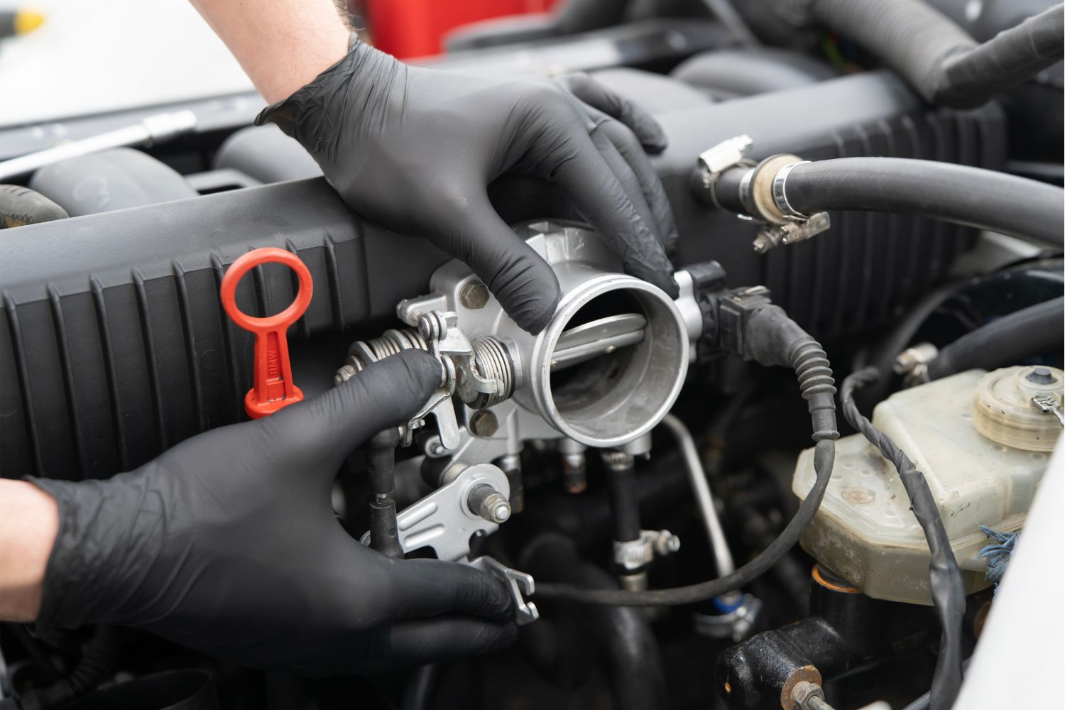 Bucky's Complete Auto Repair - Renton