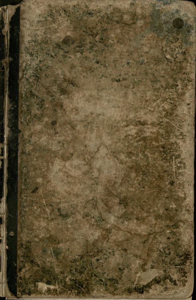 Record book that includes meeting minutes, rules of decorum, and membership lists for Emmaus Primitive Baptist Church in Chattooga County, 1856-1892.