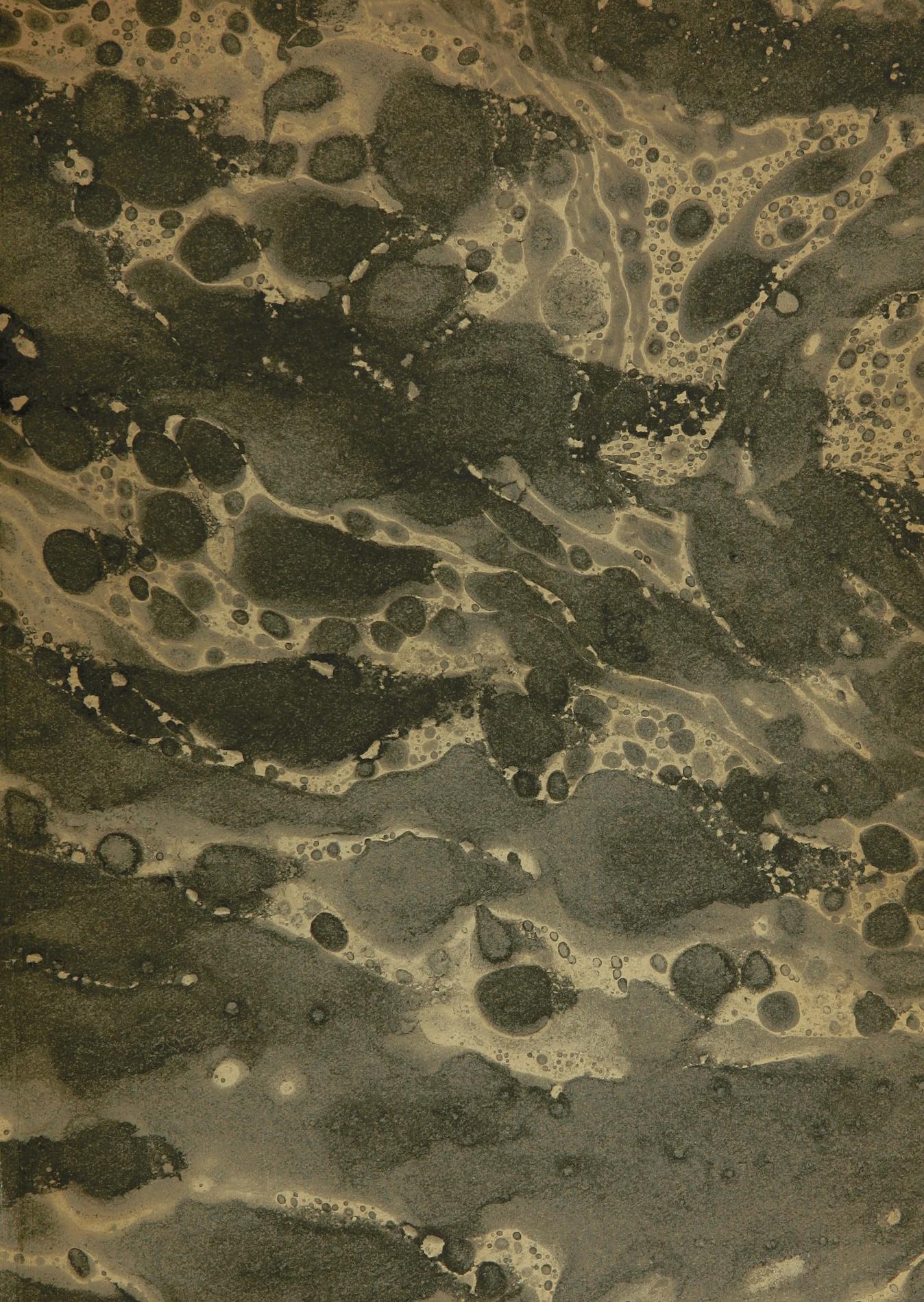 Summary: Luther&#039;s Consolation to the Protestants of Halle, published in 1527, provoked this reply from Agustin von Alveld, garuden of the Franciscan Monastery in Halle from 1524-29. Alveld condemns Luther&#039;s tract as &quot;Hussisch,&quot; in particular with respect to his teachings on the sacrament. Alveld dedicated the work to Albert of Brandenburg, Archbishop of Mainz.