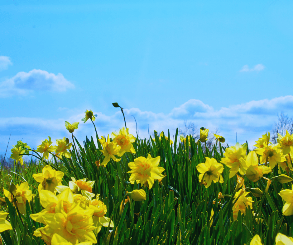 Restoring Cooling Performance