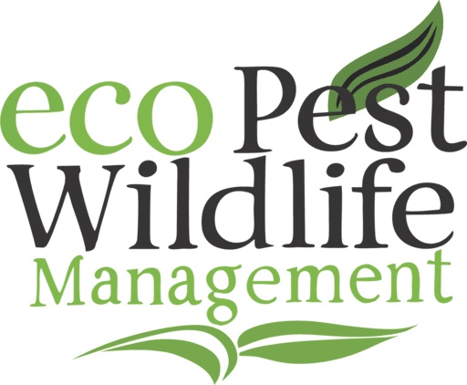 img/ecopest-management-logo-1.jpg