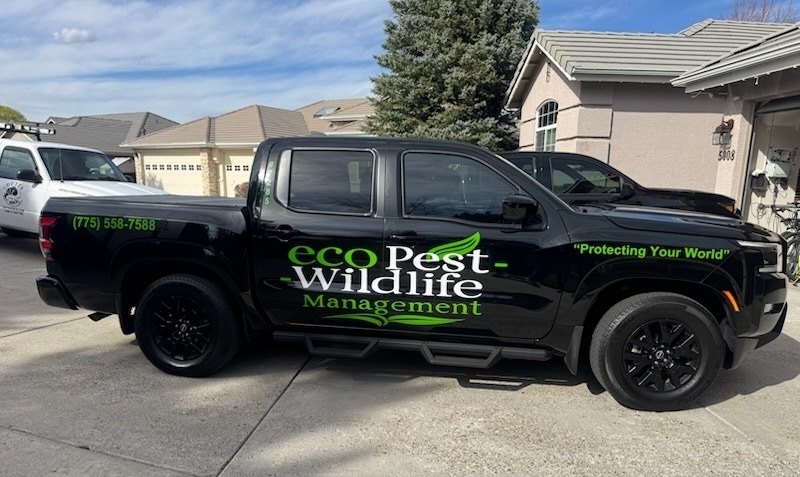 ecoPest Wildlife Management - Oregon | Pest Control Service - Salem OR