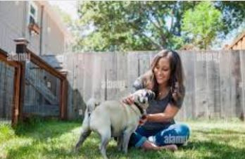 宠物美容服务图片 - 专业宠物美容