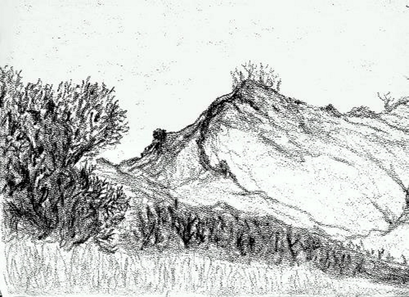 The hill