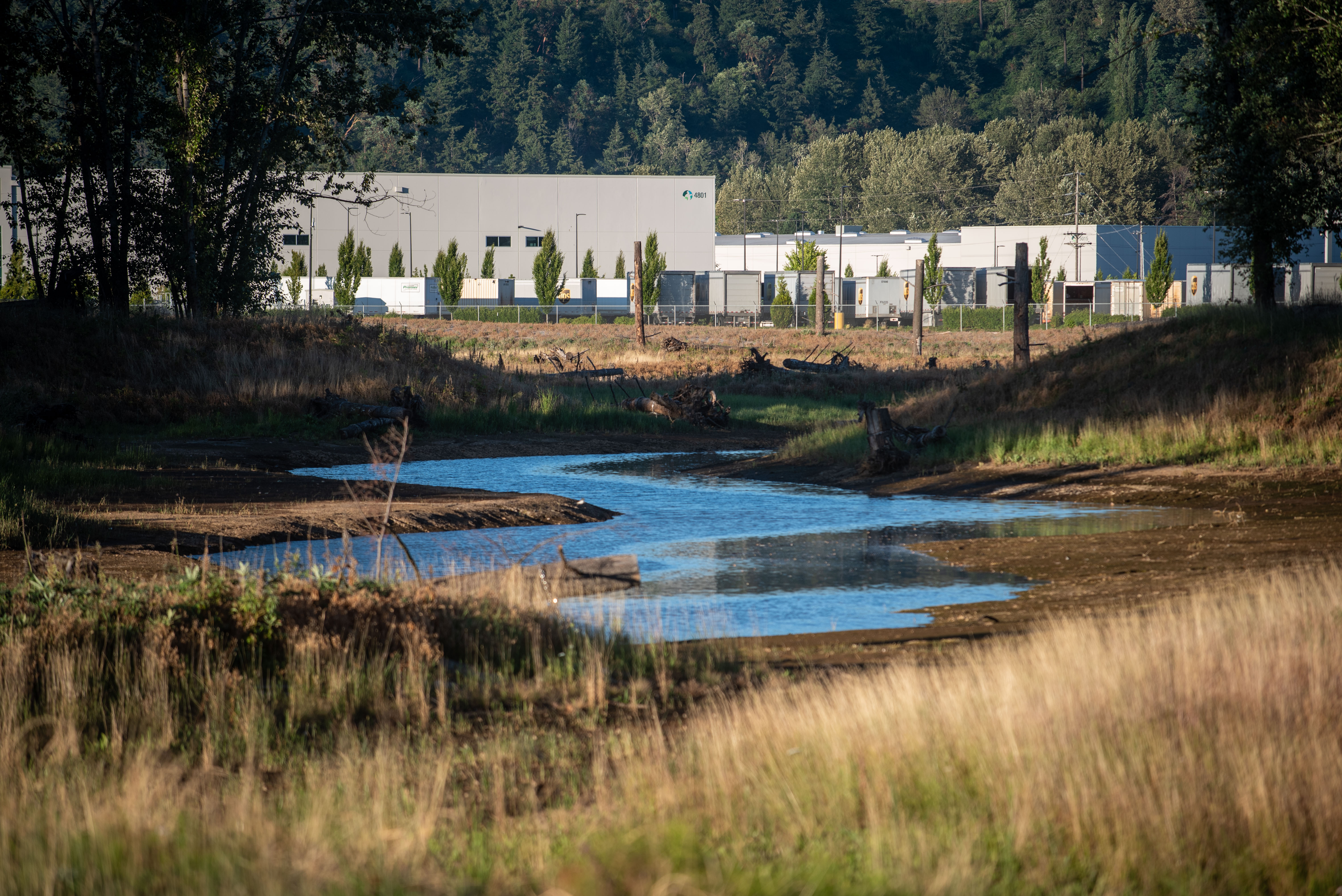 Wapato Creek