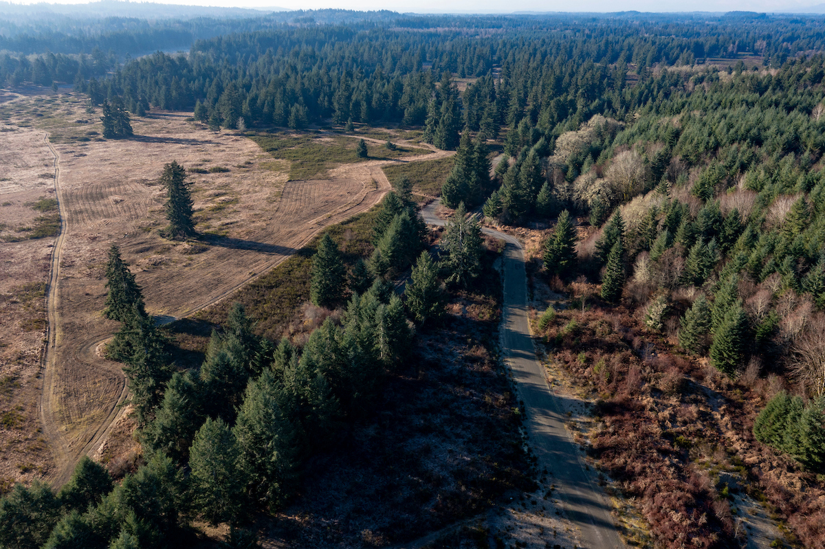 An aerial shot of a road cutting through evergreen trees/