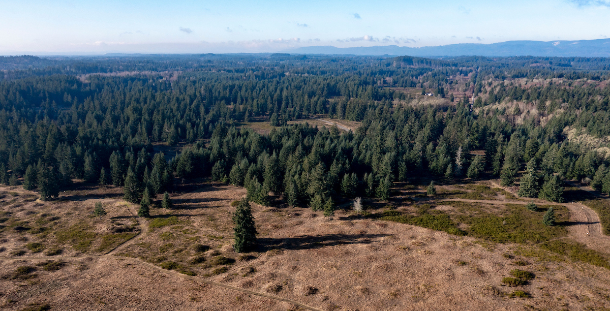 An aerial shot of a plot of land overlooking evergreen trees and flat land.