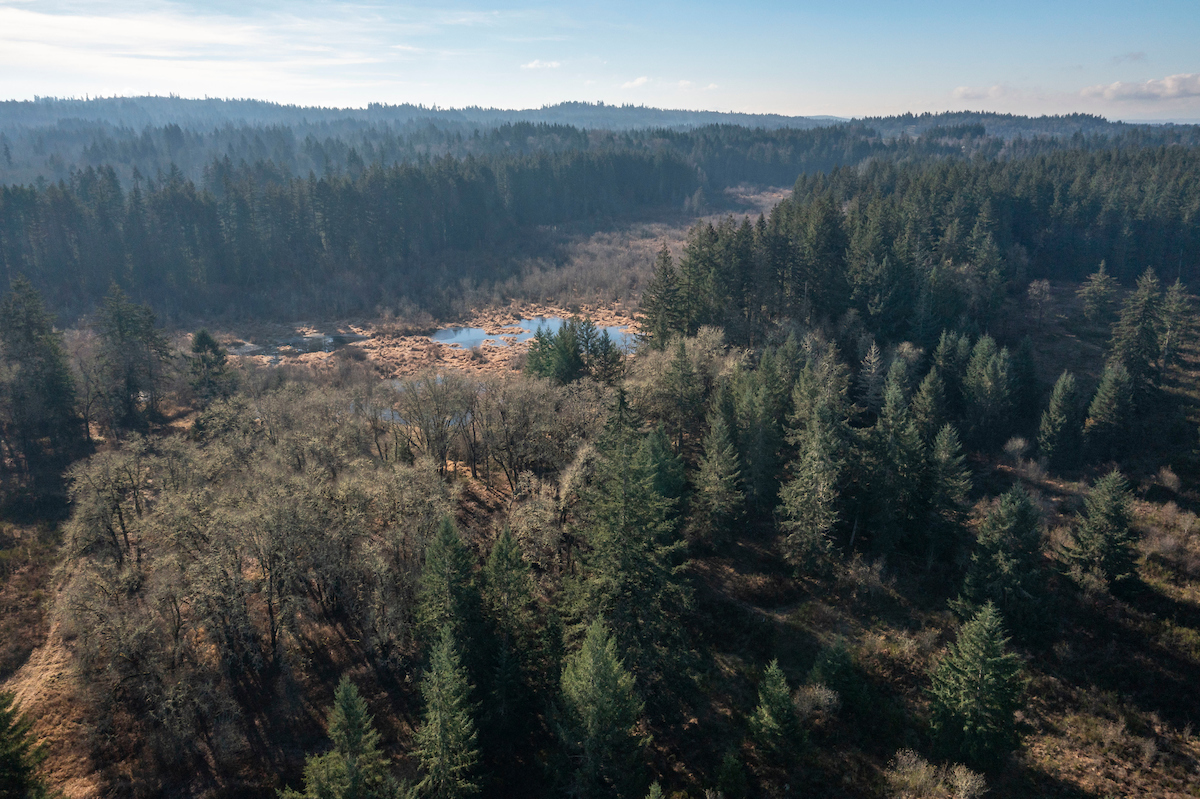 An aerial shot of a plot of land overlooking evergreen trees and flat land.