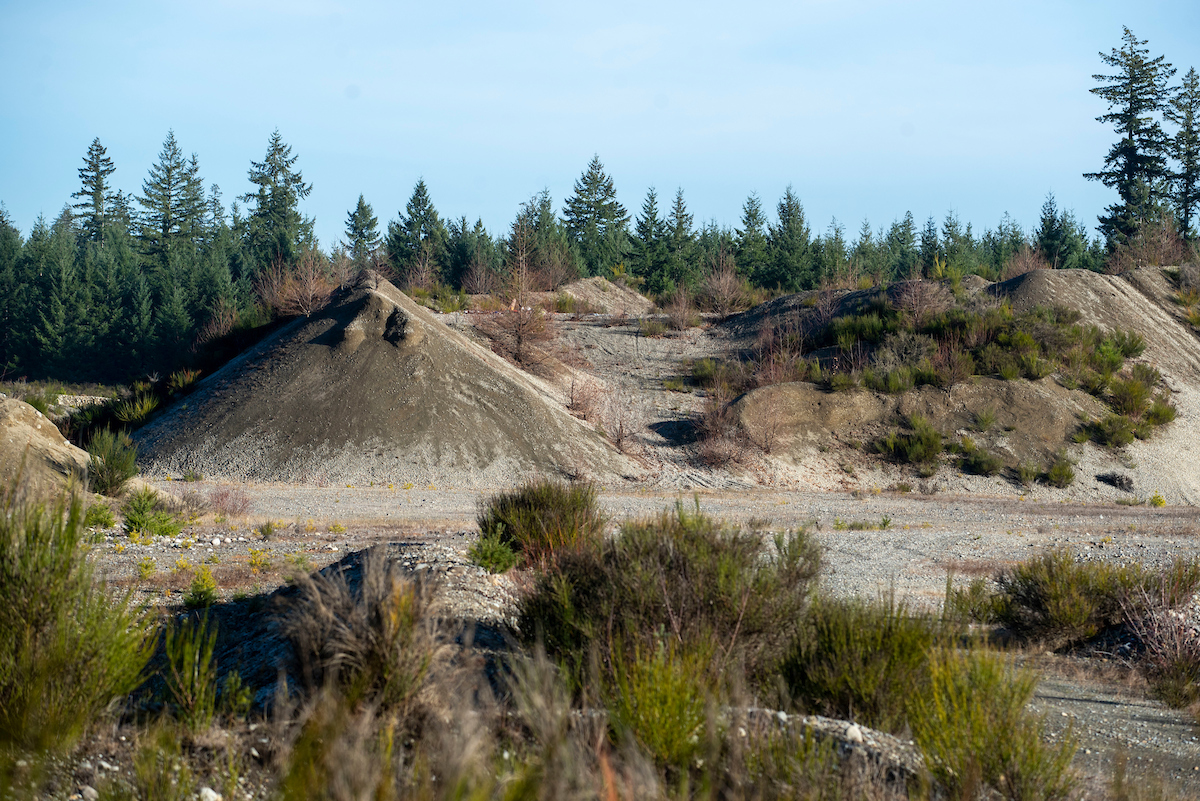 Hills of gravel in front of a group of evergreen trees.