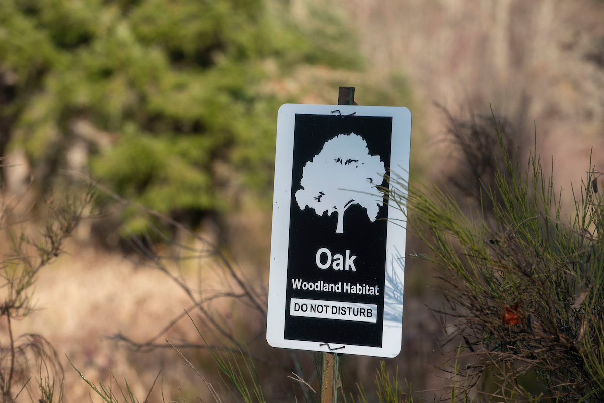 A black and white sign indicating an Oak Woodland Habitat, it says do not disturb.
