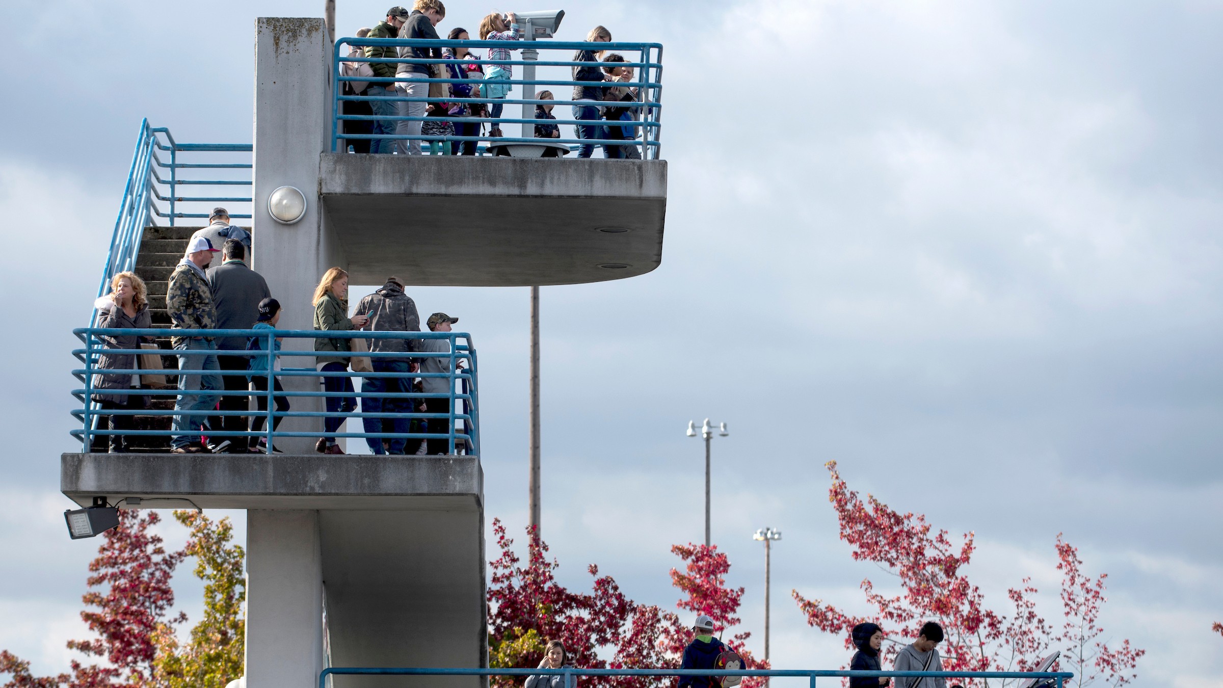 A group of people look out over the railings of the Port observation tower.
