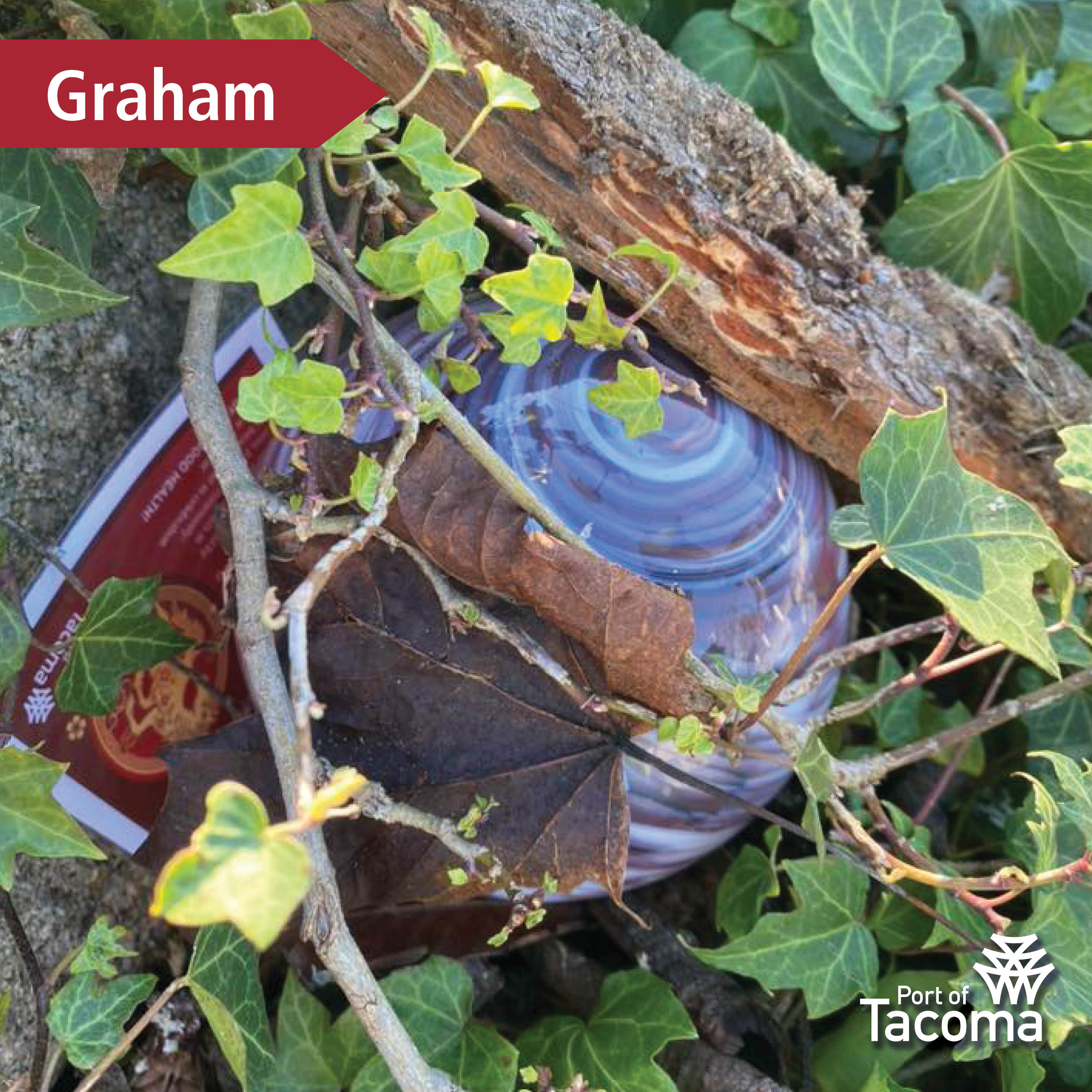 Up close shot of a Monkeyshines token in some brush with the word "Graham" typed in the corner