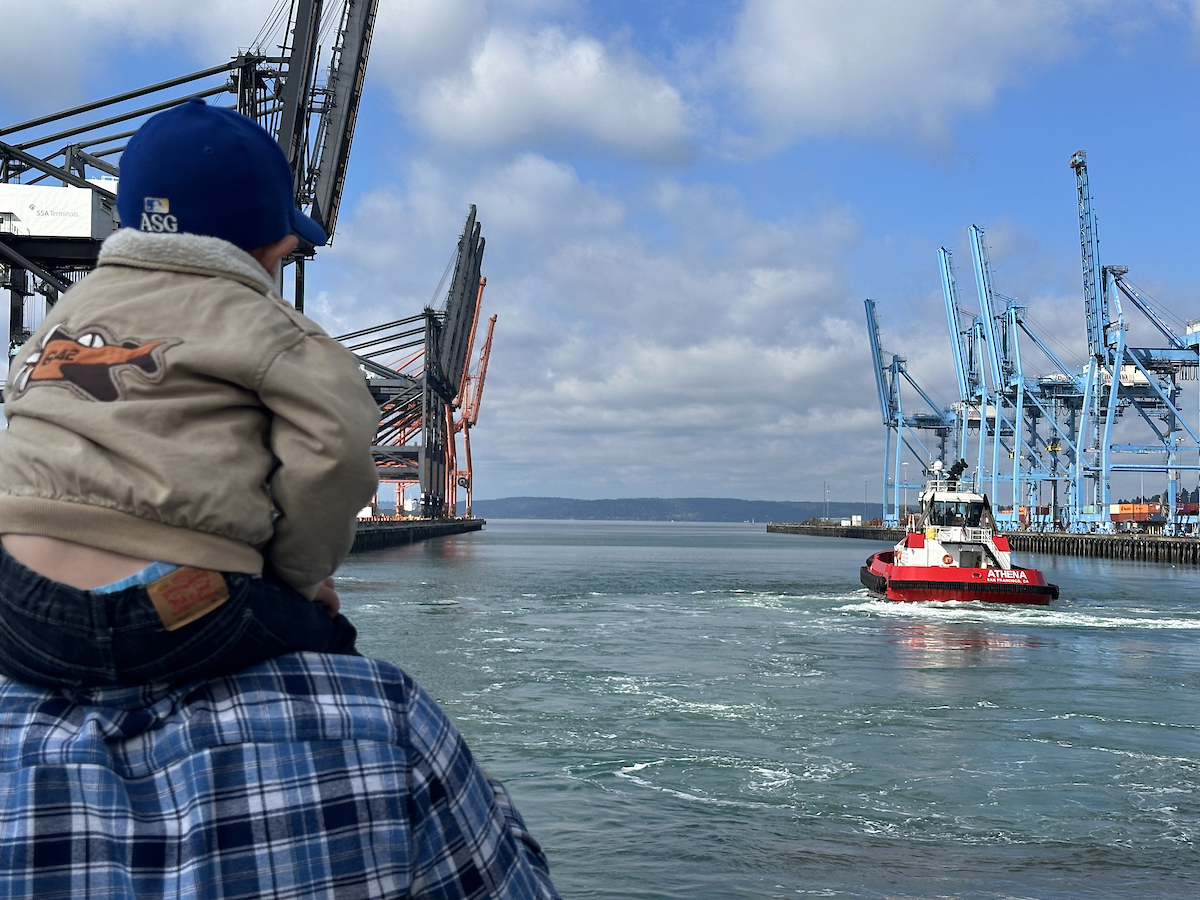 A toddler looks at a tugboat while being held on his father's shoulders. 