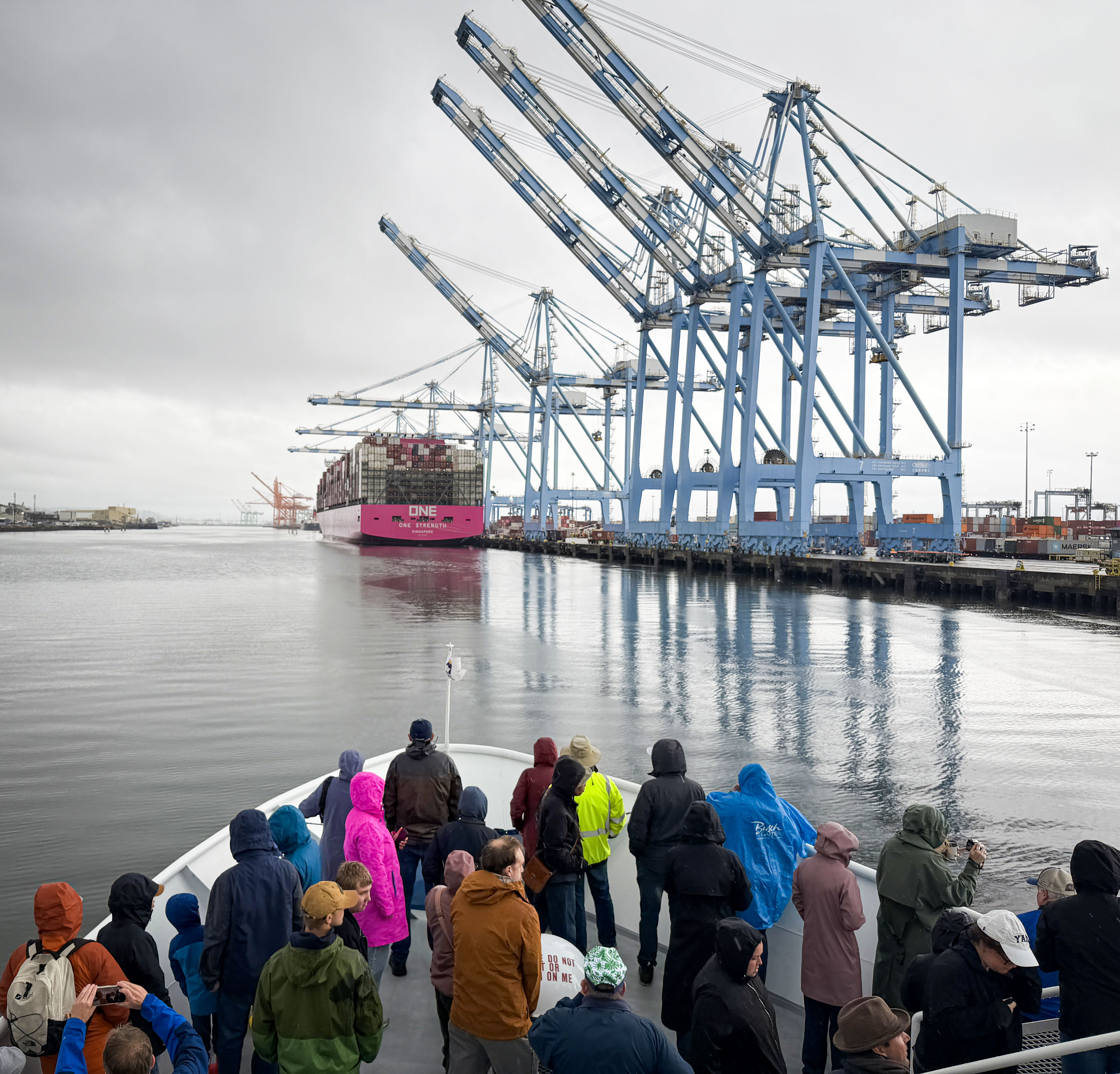 People standing on the bow of a cruise ship watch the cranes at Husky Terminal unload a cargo ship.